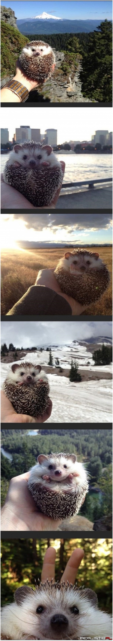 So cute