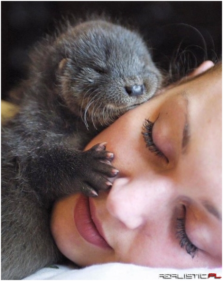 So cute