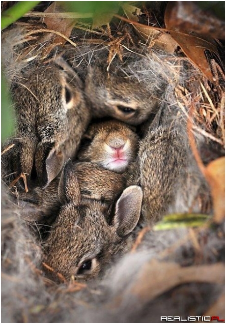 So Many Squees!