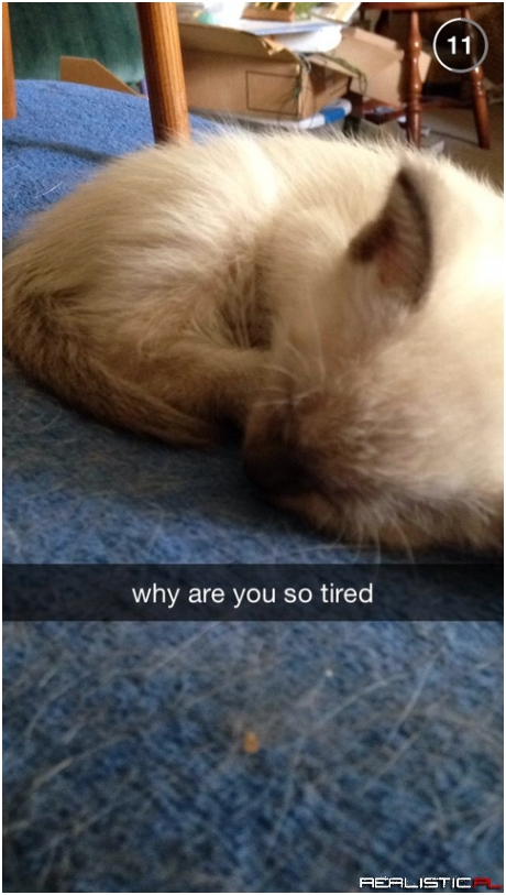 So tired