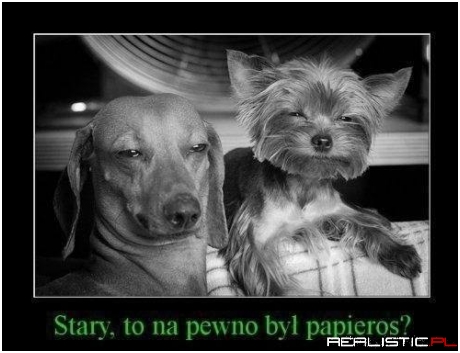 Stary...