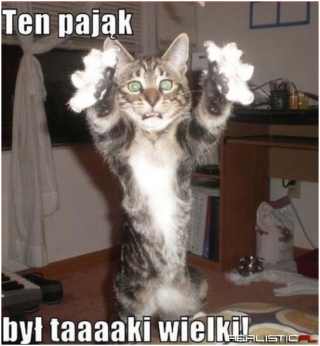 Ten pająk