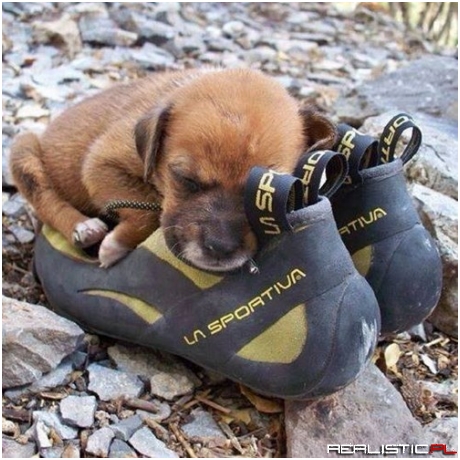 That Boulder Looked So Tiring to Climb, Let's Take a Nap Together Now
