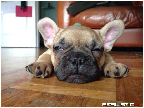 That Moment When You Have Your First Food Coma