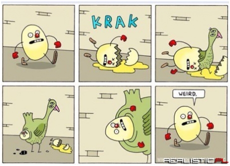 The Chicken and the Egg