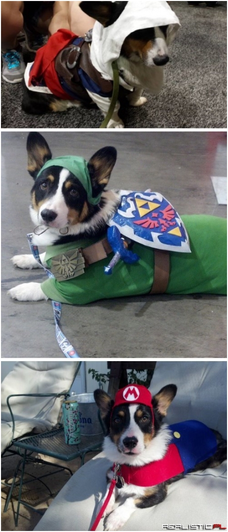 The Cutest Cosplayer Ever