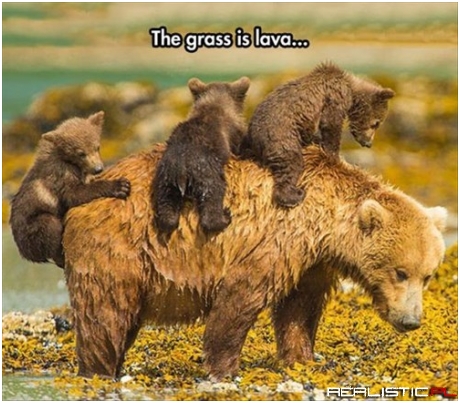 The Joys Of Motherhood