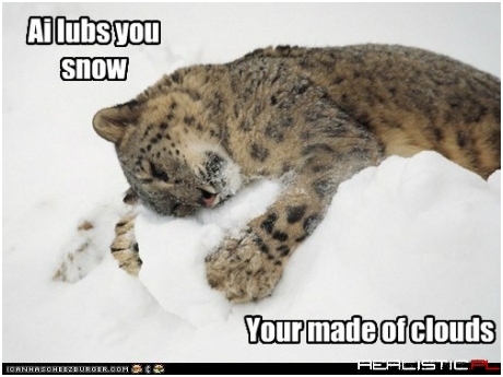 The Only One that Understands Me