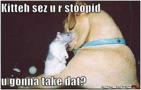 The Origin Of An Age Old Feud
