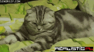 The Perfect Reaction to People Telling You to Get Up at 4 in The Morning