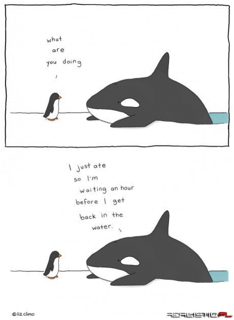 The Whale's Wisdom