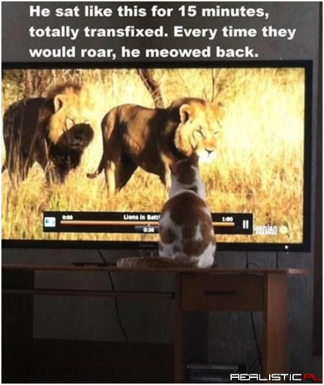 The Wild Is Calling