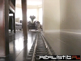 Tracking the Cat