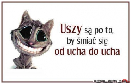 Uszy