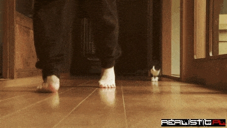 Wait for me human