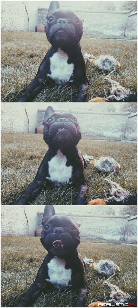 Wait, Let Me Smile First!
