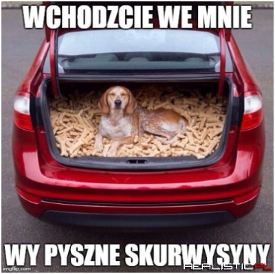 Wchodzcie we mnie