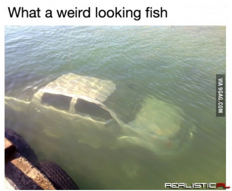Weird fish ;)