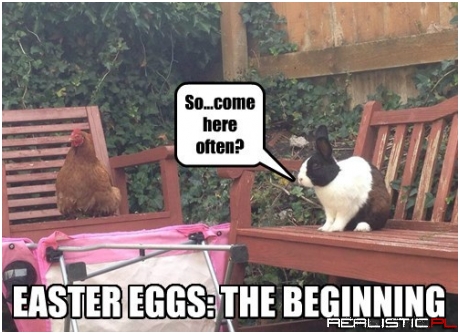 When A Rabbit And A Chicken Love Each Other Very Much...