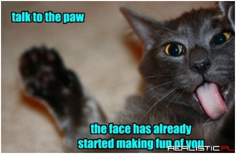 When You Try to Have a Serious Chat With the Cat