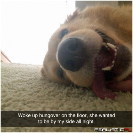 Woke up...