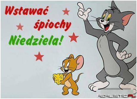 Wstawać śpiochy