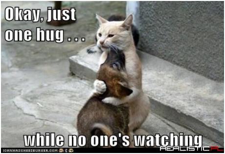 You Big Softy