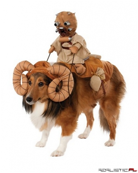 Your Dog Loves Star Wars as Much as You Do, Right