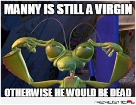 A bug