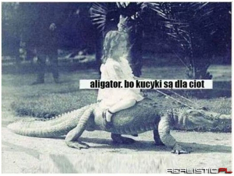 Aligator