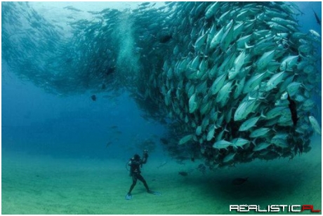 Amazing!