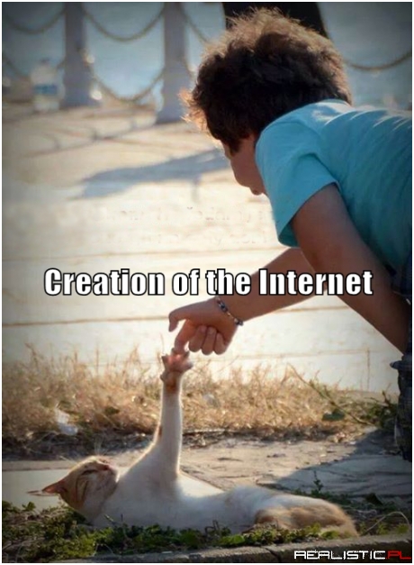 And Cat Said, Let There be Memes
