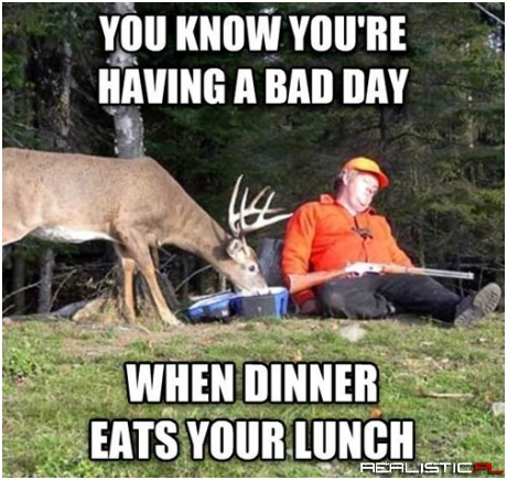 At Least You Got a Nice Nap