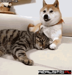 Cuddle Buds