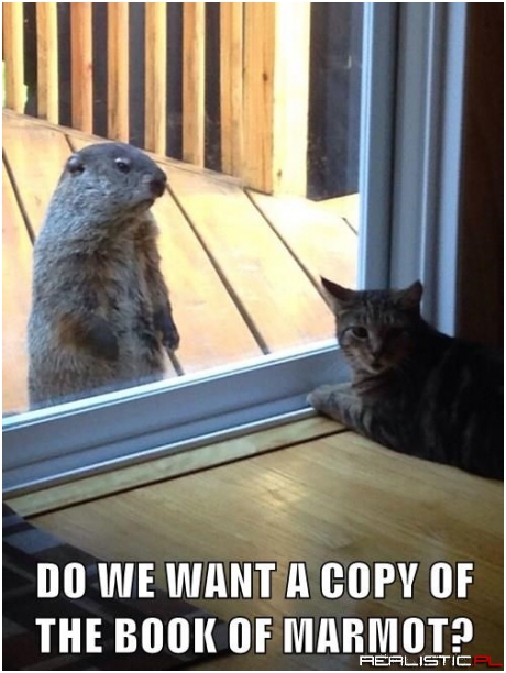 Do You Have a Moment to Talk About Our Squirrelly Savior