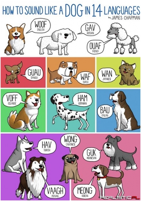 Doesn't Matter What it Sounds Like, It's Adorable!