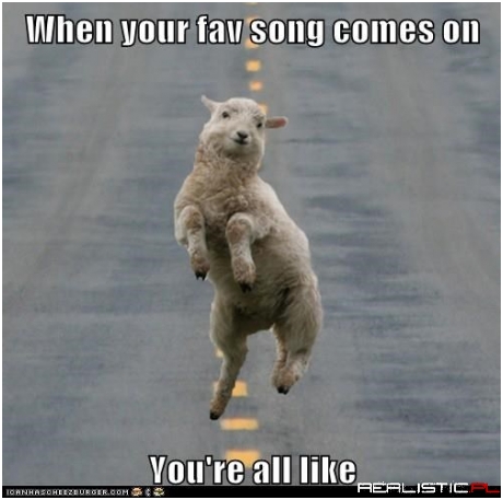 Don't Be Sheepish, Dance!