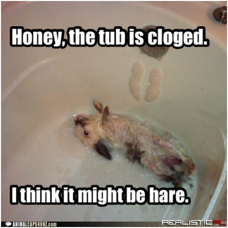 Dust Bunnies Can Show Up Anywhere