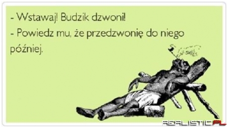 Dzień dobry