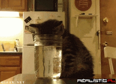 Fell asleep while drinking