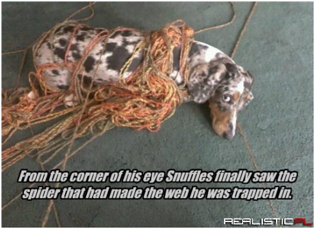 Get Out of There Snuffles!