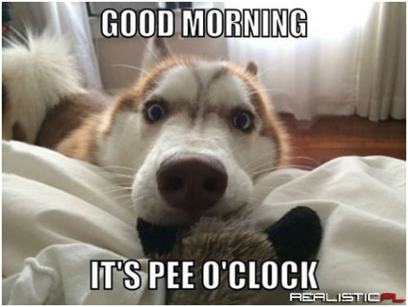 Good morning