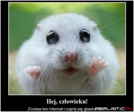 Hej człowieku!