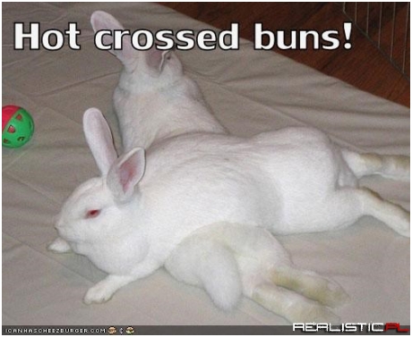 I Have a Hare in Mine