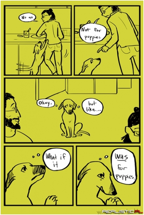 Impeccable Logic, Dog