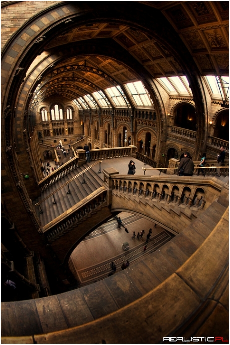 Natural History Museum, London