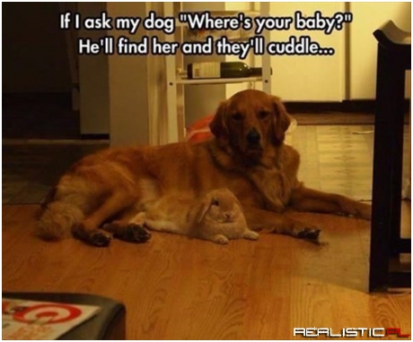 Nothing Wrong with a Little Cuddle Session