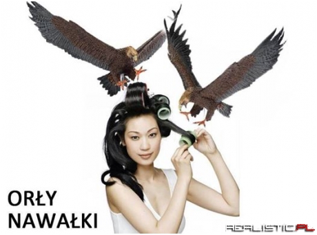 Orły nawałki