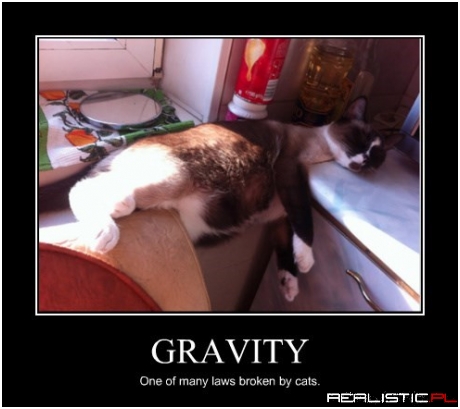 Physics is for the Dogs