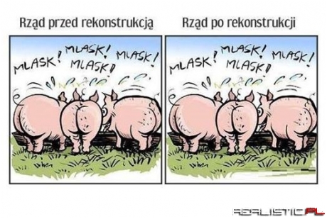 Polski rząd ...